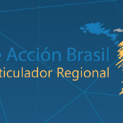 Regional Working Group for the Brazil Plan of Action