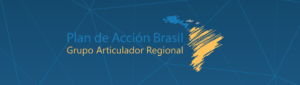 Regional Working Group for the Brazil Plan of Action